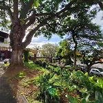 Francisco's Accommodatie bij particulieren Funchal (Madeira)