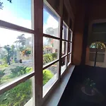 Francisco's Accommodatie bij particulieren Funchal (Madeira)