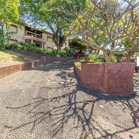 Séjour chez l'habitant Francisco's