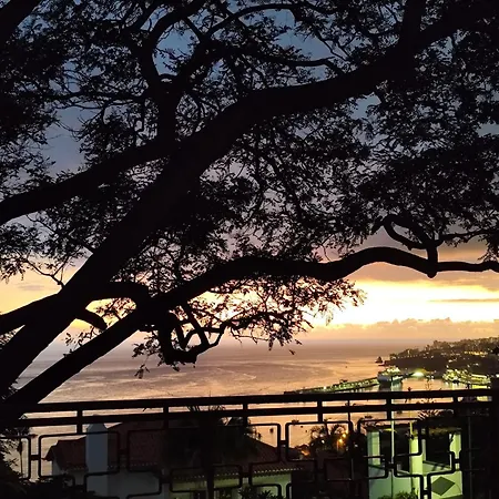 Séjour chez l'habitant Francisco's