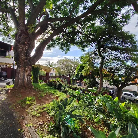 Francisco's Séjour chez l'habitant Funchal (Madeira)