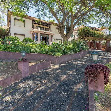 Francisco's Séjour chez l'habitant Funchal (Madeira)