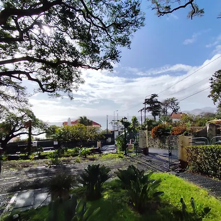 Séjour chez l'habitant Francisco's Funchal (Madeira)