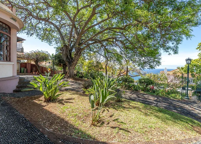 בית אירוח Francisco's פונשל