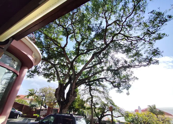 Francisco's Funchal (Madeira)