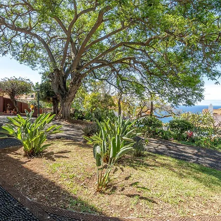 Accommodatie bij particulieren Francisco's Funchal (Madeira)