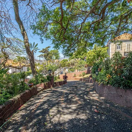 Francisco's Accommodatie bij particulieren Funchal (Madeira)