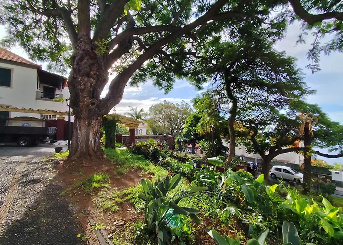 Francisco's Séjour chez l'habitant Funchal (Madeira)